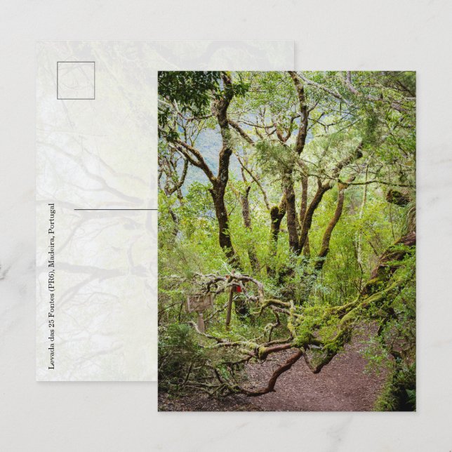 Carte Postale Levada das 25 Fontes Voyage et nature (Devant / Derrière)