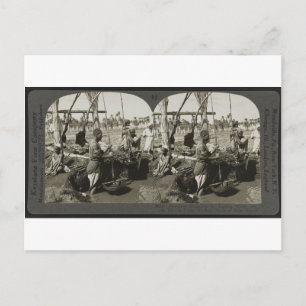 Carte Postale Levage de l'eau du Nil en Egypte vers 1928