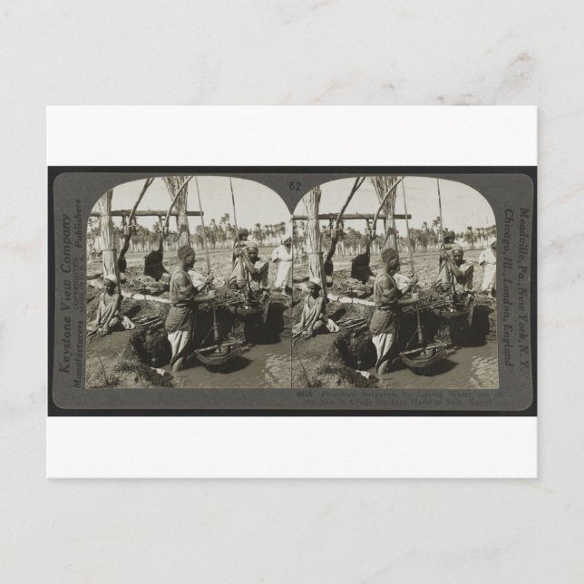 Carte Postale Levage de l'eau du Nil en Egypte vers 1928 (Devant)