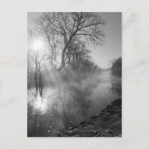 Carte Postale Levée matinale de la rivière Foggy