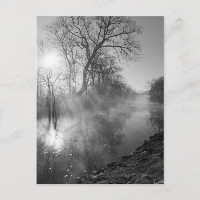Carte Postale Levée matinale de la rivière Foggy (Devant)