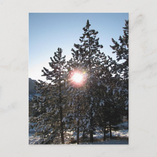 Carte Postale Lever de neige au Colorado (Devant)
