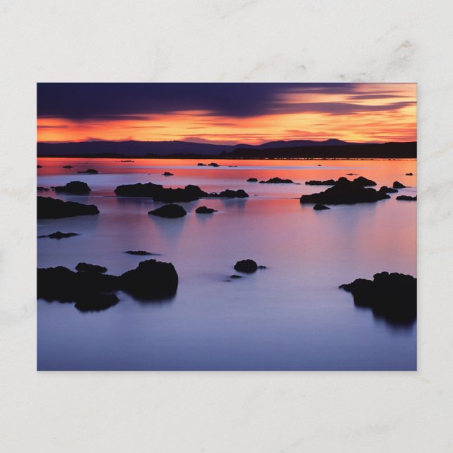 Carte Postale Lever de soleil à Black Point, Mono Lake (Devant)