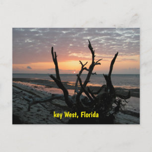 Carte Postale Lever de soleil à Key West Floride