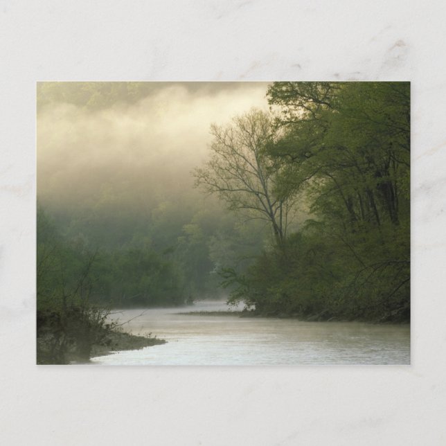 Carte Postale Lever de soleil à travers le brouillard vu de Red  (Devant)