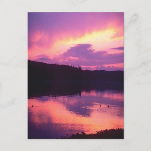 Carte Postale Lever de soleil superbe, violet reflété dans l'eau (Devant)