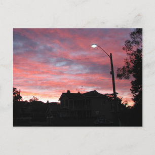 Carte Postale Lever de soleil sur Centennial Park, Sydney