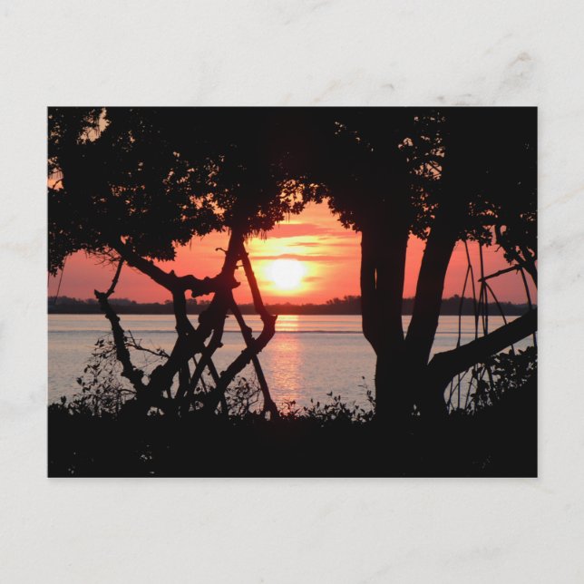 Carte Postale Lever de soleil sur la baie (Devant)