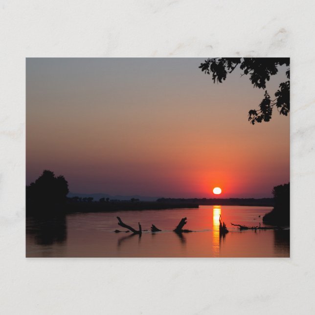 Carte Postale Lever de soleil sur le fleuve Zambèze (Devant)