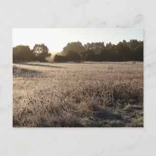 Carte Postale Lever du soleil au paysage du sentier de Bear Vall