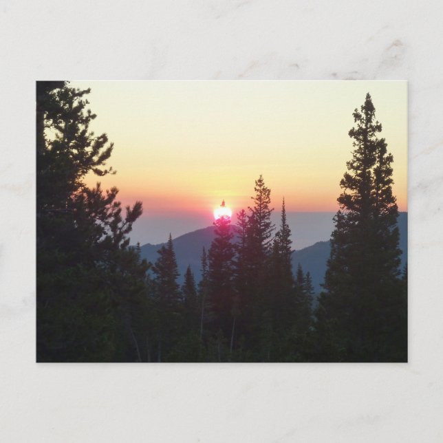 Carte Postale Lever du soleil dans la forêt à Rocky Mountain (Devant)