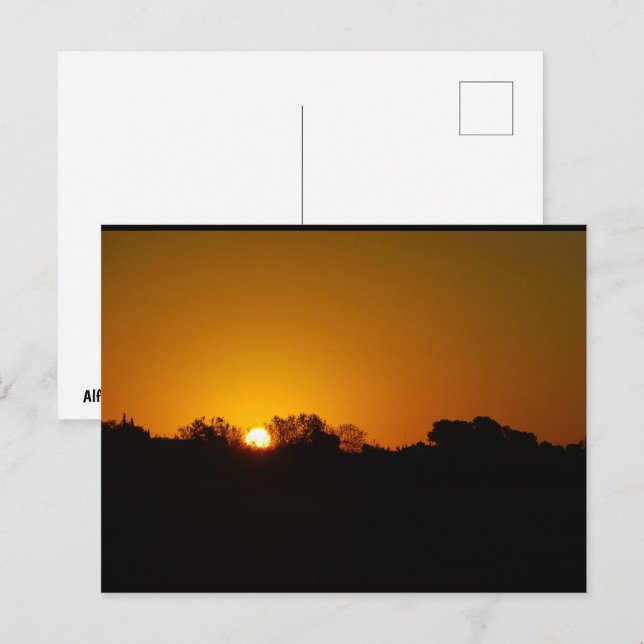 Carte Postale Lever du soleil doré (Devant / Derrière)