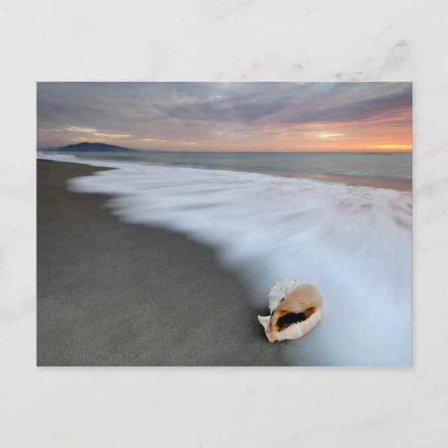 Carte Postale Lever Du Soleil Sur La Plage Et Un Coquillage (Devant)