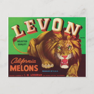 Carte Postale Levon Melons Tiger Los Banos Blythe California Art