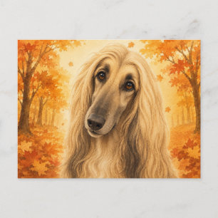 Carte Postale Lévrier Afghan Forêt Automnale Chien