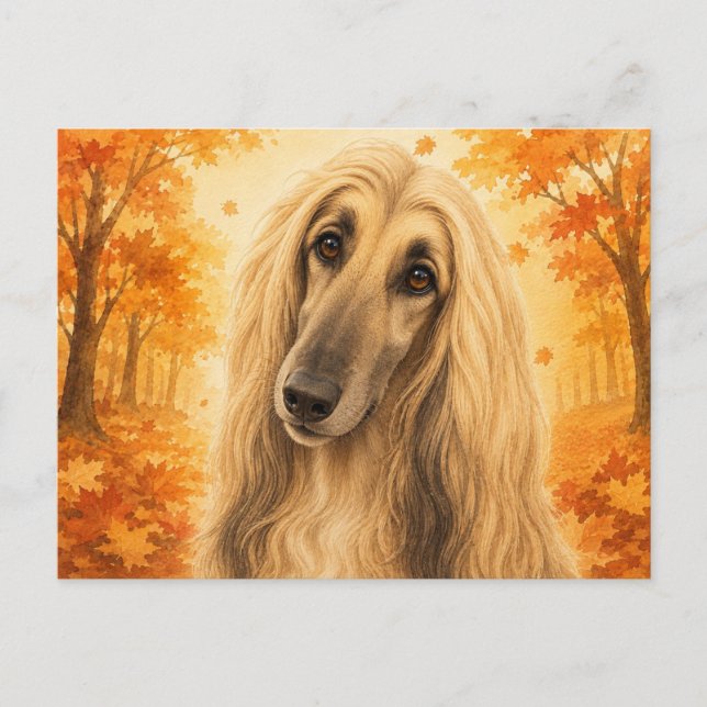 Carte Postale Lévrier Afghan Forêt Automnale Chien (Devant)