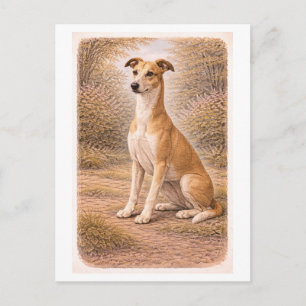 Carte Postale Lévrier Greyhound de style vintage