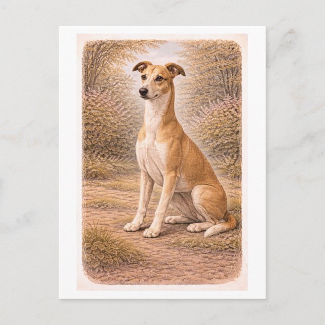 Carte Postale Lévrier Greyhound de style vintage (Devant)