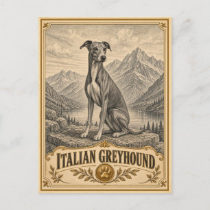Carte Postale Lévrier Italien, Chien du Patrimoine Vintage