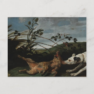 Carte Postale Lévrier prenant un sanglier par Frans Snyders
