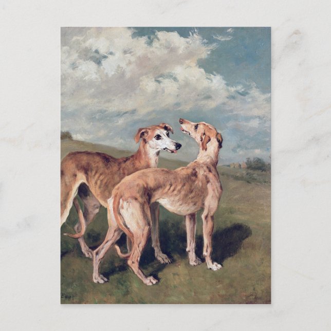 Carte Postale Lévriers (Devant)