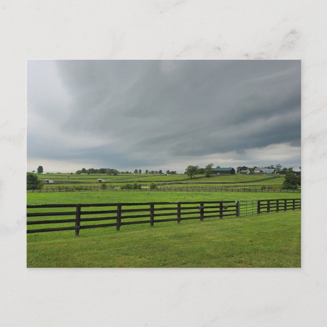 Carte Postale Lexington, Kentucky (Devant)