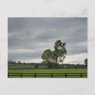 Carte Postale Lexington, Kentucky