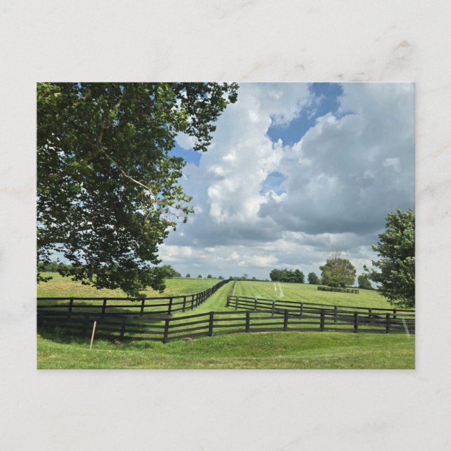 Carte Postale Lexington, Kentucky (Devant)