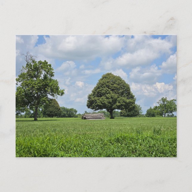Carte Postale Lexington, Kentucky (Devant)