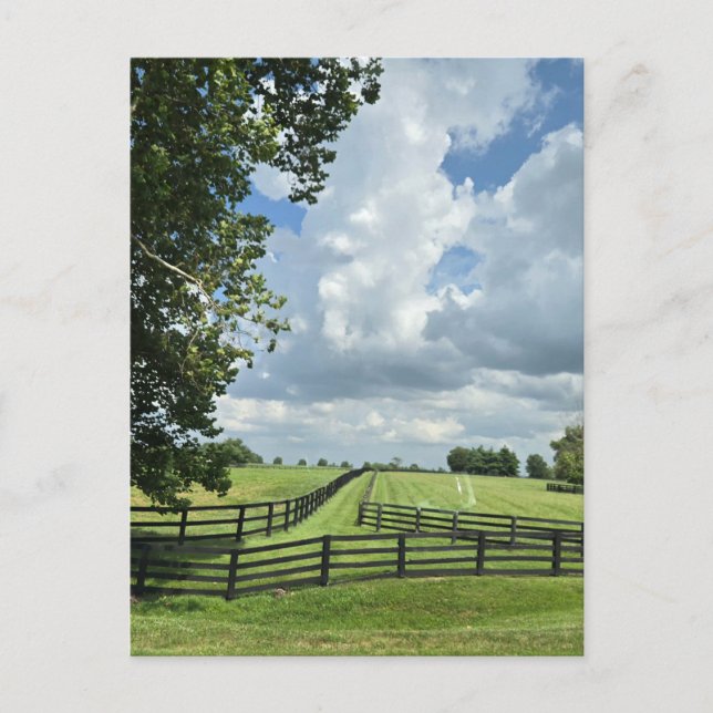 Carte Postale Lexington, Kentucky (Devant)