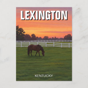 Carte Postale Lexington Kentucky Postcard Horse Sunset