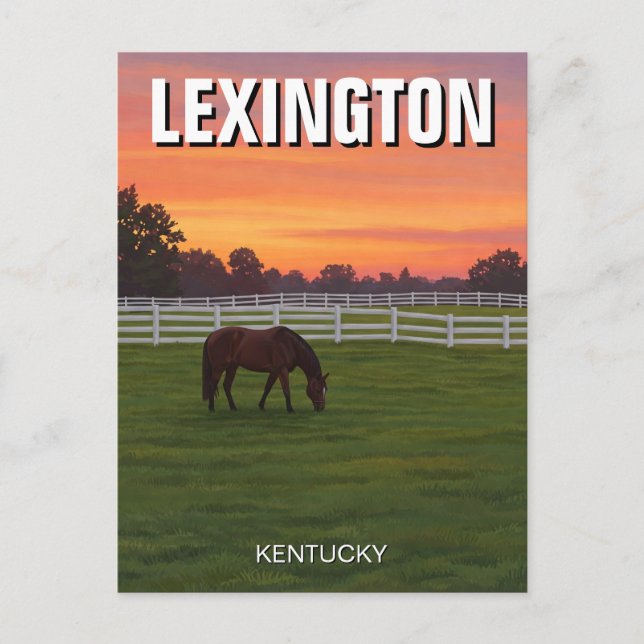 Carte Postale Lexington Kentucky Postcard Horse Sunset (Devant)