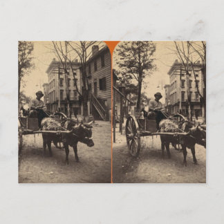 Carte Postale L'Express de la foudre, Savannah, Ga c. 1886