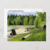 Carte Postale L'extrémité du lac - Marshall Lake (Devant / Derrière)