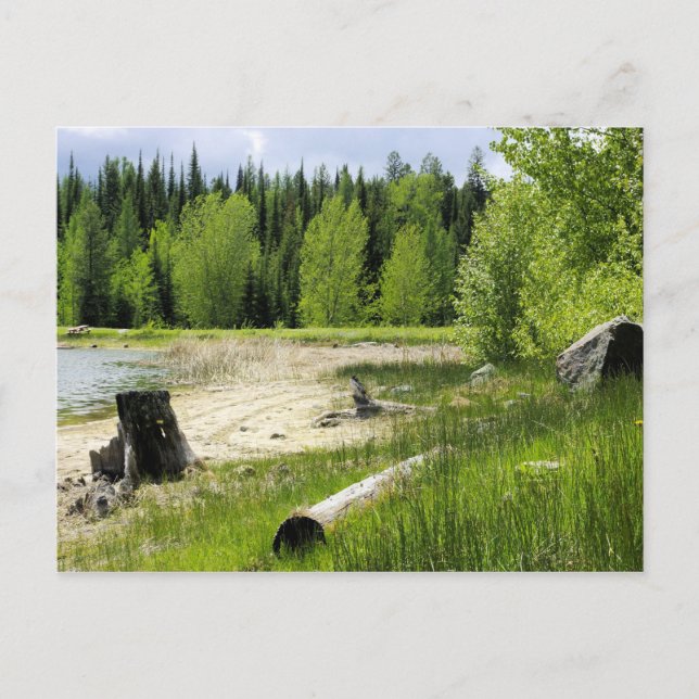 Carte Postale L'extrémité du lac - Marshall Lake (Devant)