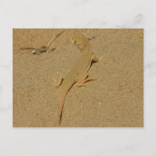 Carte Postale Lézard à doigts frangés du Mojave