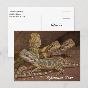 Carte Postale Lézard Dragon Porté Par Un Bébé Personnalisé