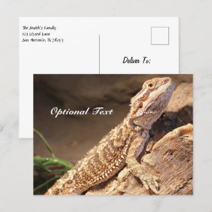 Carte Postale Lézard Dragon Porté Par Un Bébé Personnalisé