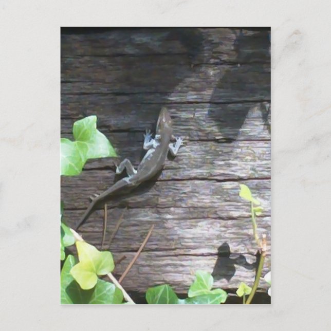 Carte Postale lézard gris sur un mur de lierre (Devant)