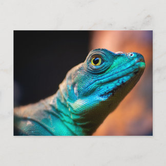 Carte Postale Lézard vert