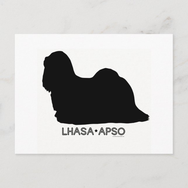 Carte postale Lhasa Apso (Devant)