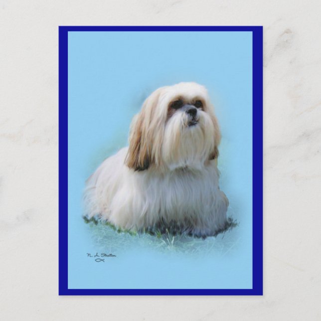 Carte postale Lhasa Apso (Devant)
