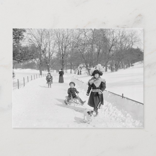 Carte Postale L'hiver à Central Park, 1900 (Devant)