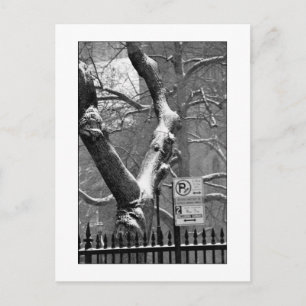 Carte postale 'L'hiver dans la ville'