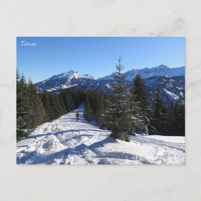 Carte Postale L'hiver des Tatras (Devant)