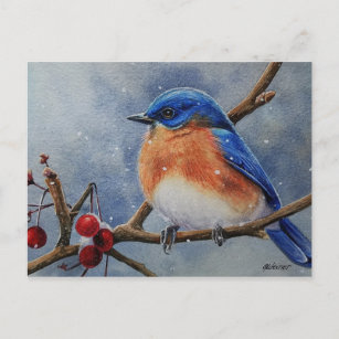 Carte Postale L'hiver Est Bluebird & Berries Aquarelle Art
