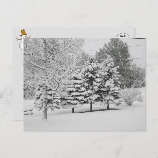 Carte Postale L'hiver neigeux du Vermont en B&W (Devant / Derrière)