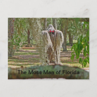 Carte Postale L'homme de la mousse de Floride