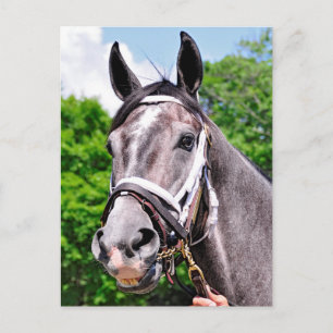 Carte Postale L'homme d'un roi