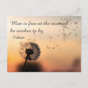 Carte Postale L'homme est libre Citation Voltaire